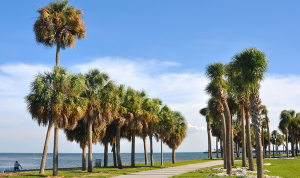 north straub park